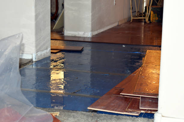Professional Basement Water Removal technician working in Stanley, ND