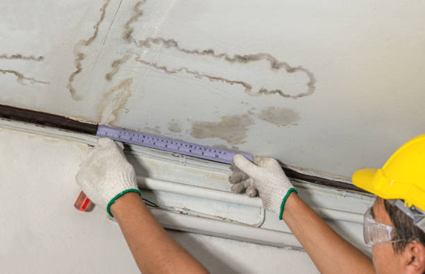 Reliable Basement Water Removal contractor in Stanley, ND by Water Damage Irwin